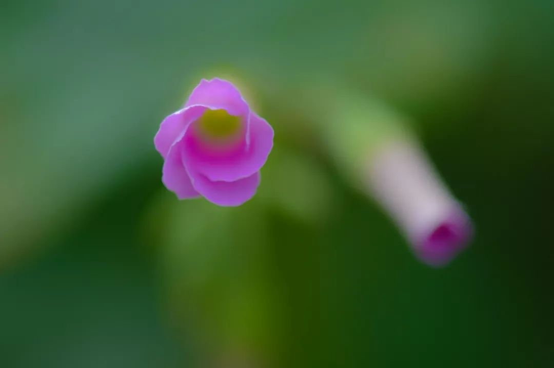 市民中心还有深圳灯光秀吗,深圳市民中心灯光秀2024时间表