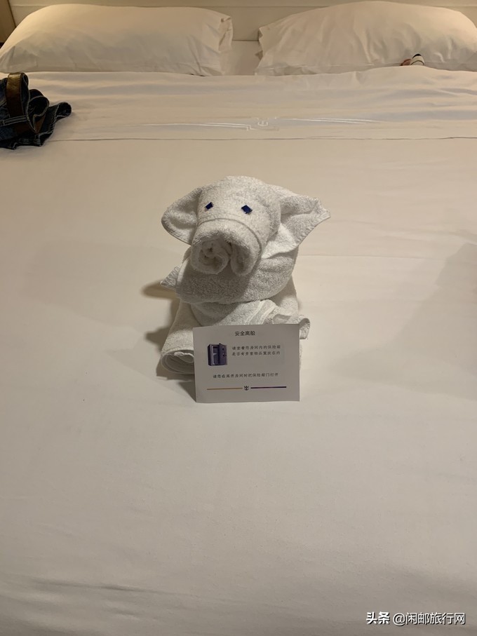 海洋量子号游玩攻略,海洋量子号邮轮游攻略