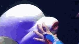 海洋馆的海洋动物表演,小孩子看的海洋动物视频