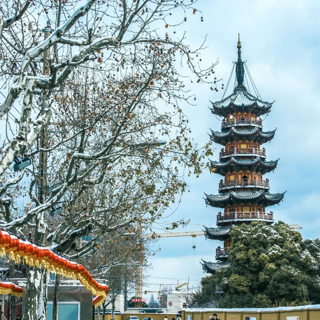 中国园林第一人，每个中国人都该谢谢他