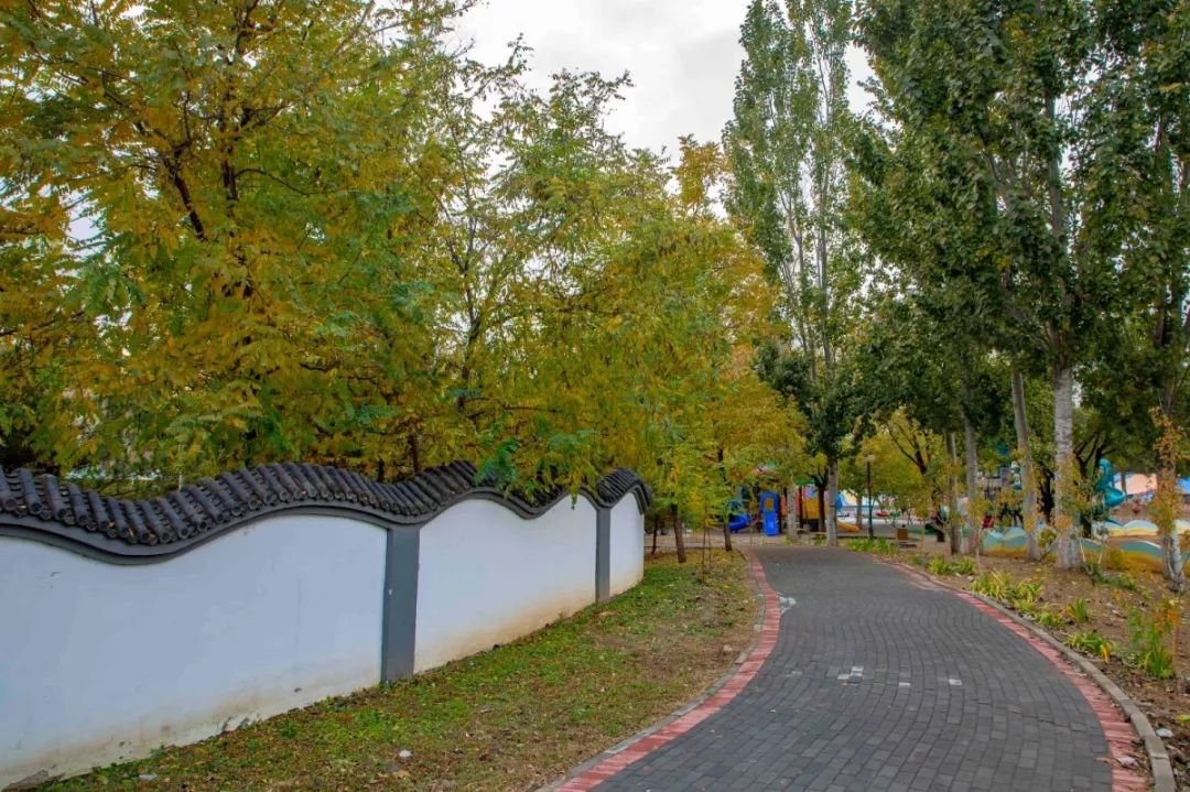 稻香湖秋天,海淀稻香