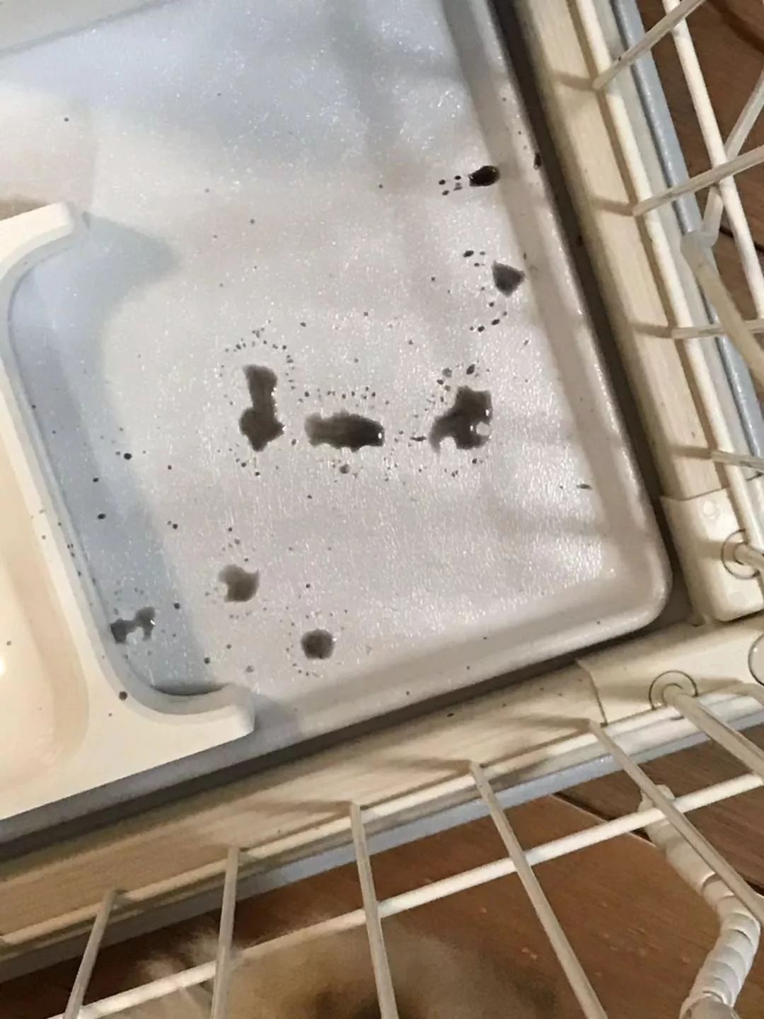 小佩猫狗智能喂食器一代,小佩多猫喂食器