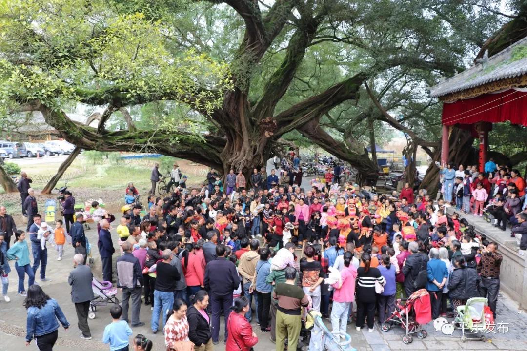 岁月静好只因我们负重前行,岁月静好我们负重前行