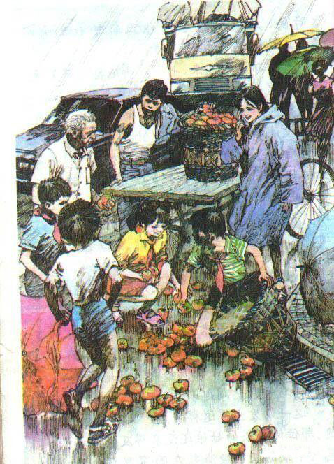 令人印象深刻的小学语文,不同年代的小学课文插图