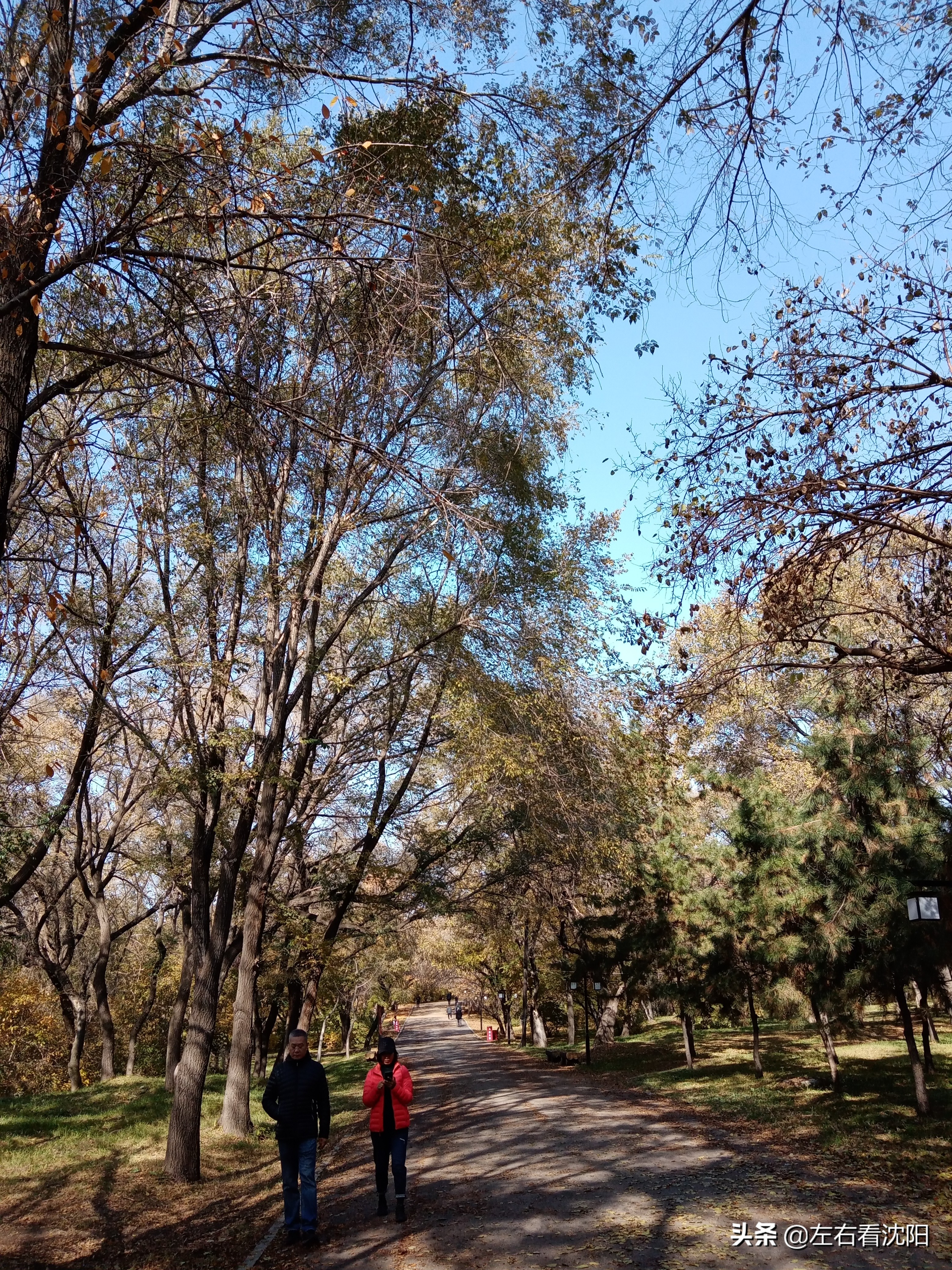 秋季沈阳北陵公园有啥好玩的,漫步沈阳北陵公园湖水边