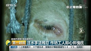 牛年吃牛肉牛气冲天,牛气冲天砂锅牛肉