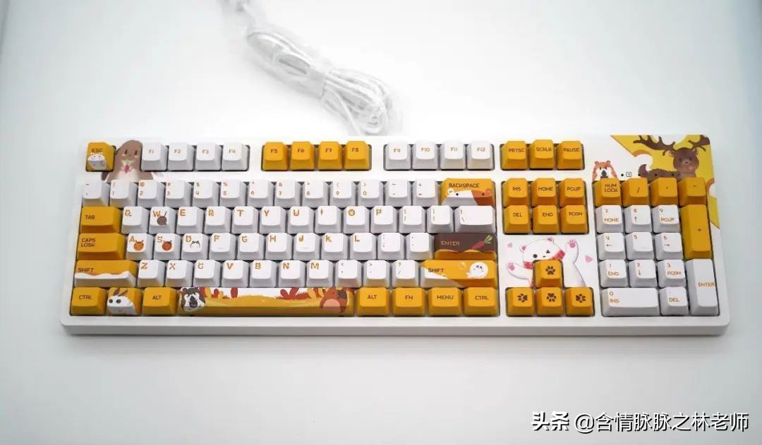 可爱的送给女孩子治愈的礼物,治愈系礼物送女友