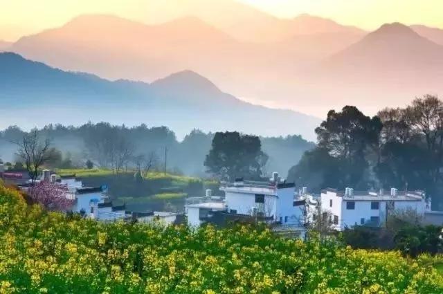 全国油菜花时间表,3月份哪里的油菜花最美