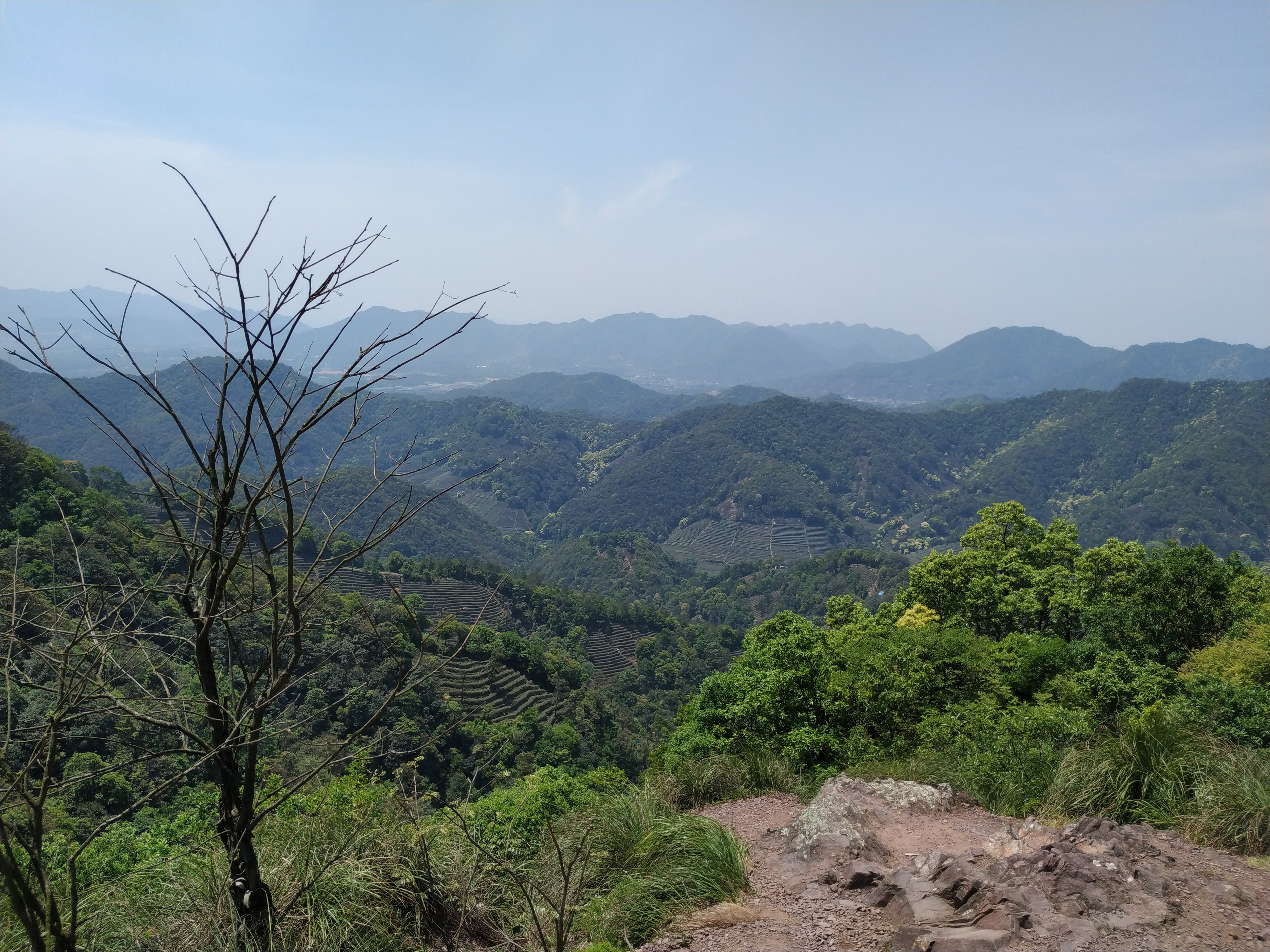 一个旅居者眼中的杭州：似水流年捕捉那四时光阴，美是记得