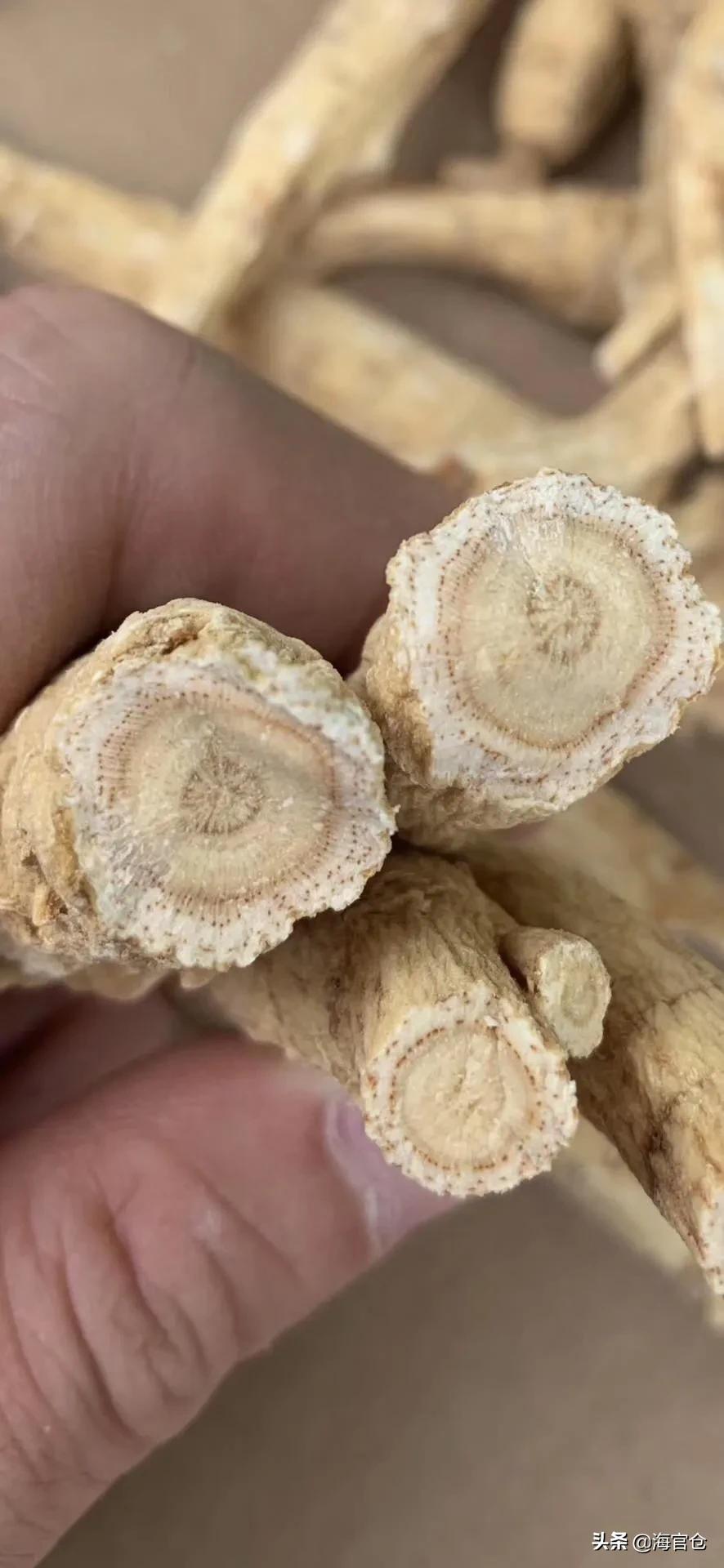 冬天西洋参泡水喝的正确方法,西洋参秋天怎么喝