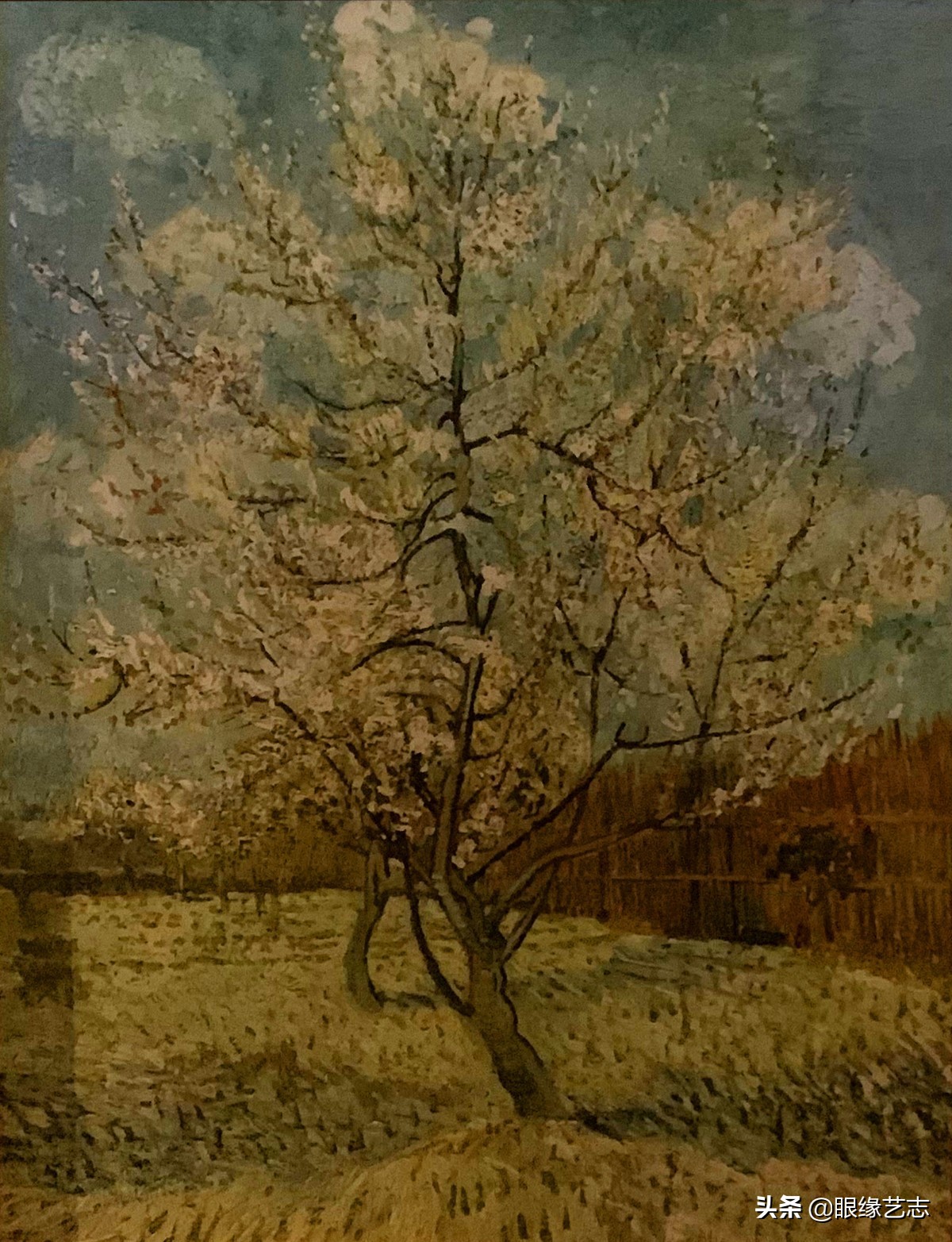 国家大剧院、国博、清华大学美术馆：穆夏、梵高等大师精选合集