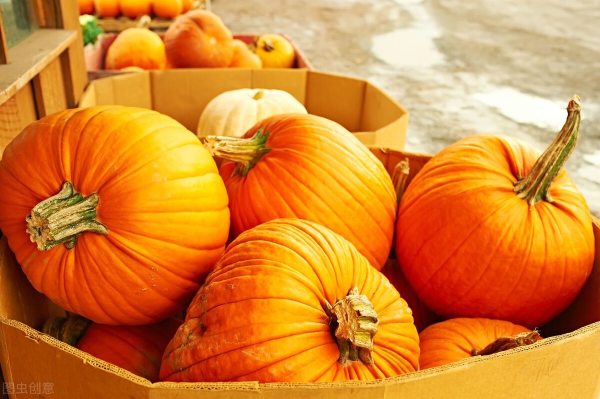 秋天多吃南瓜做法,秋季的南瓜怎么做好吃
