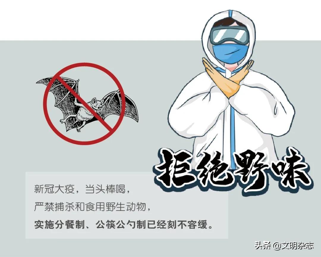 11·11：光棍节？购物狂欢节？不，文明美食日