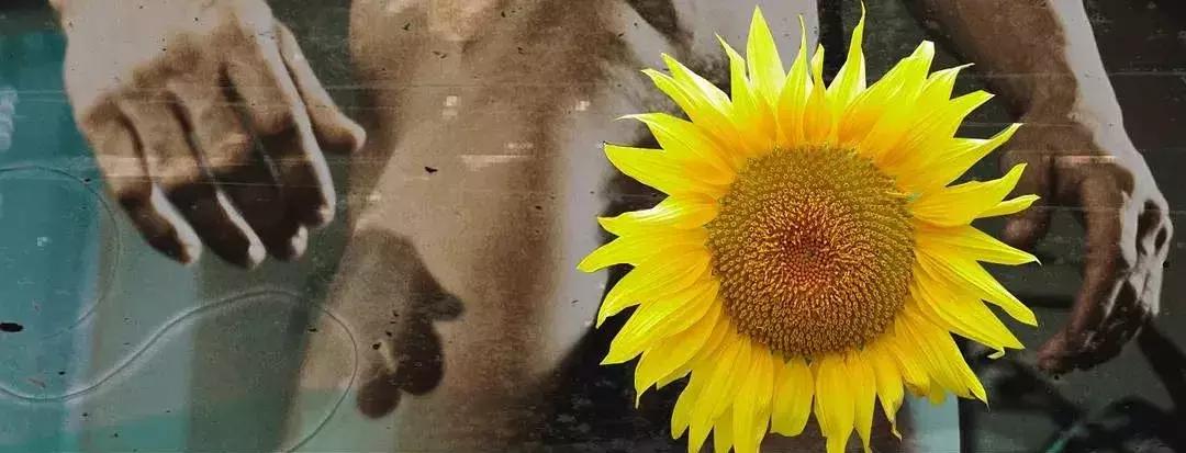 又嗨又深刻,这部豆瓣9.0的神作搁现在就是一部*片禁**