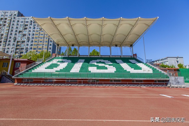 大学副教授抄袭本科毕业论文事件,博导论文造假被撤销学位是谁