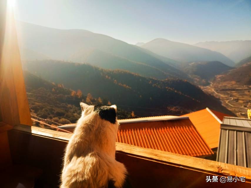 阿土｜荒野生活/从城市白领到山中野人