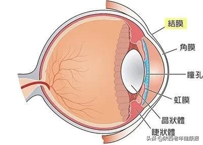 宝宝视力检查异常是什么意思,宝宝眼睛的异常现象