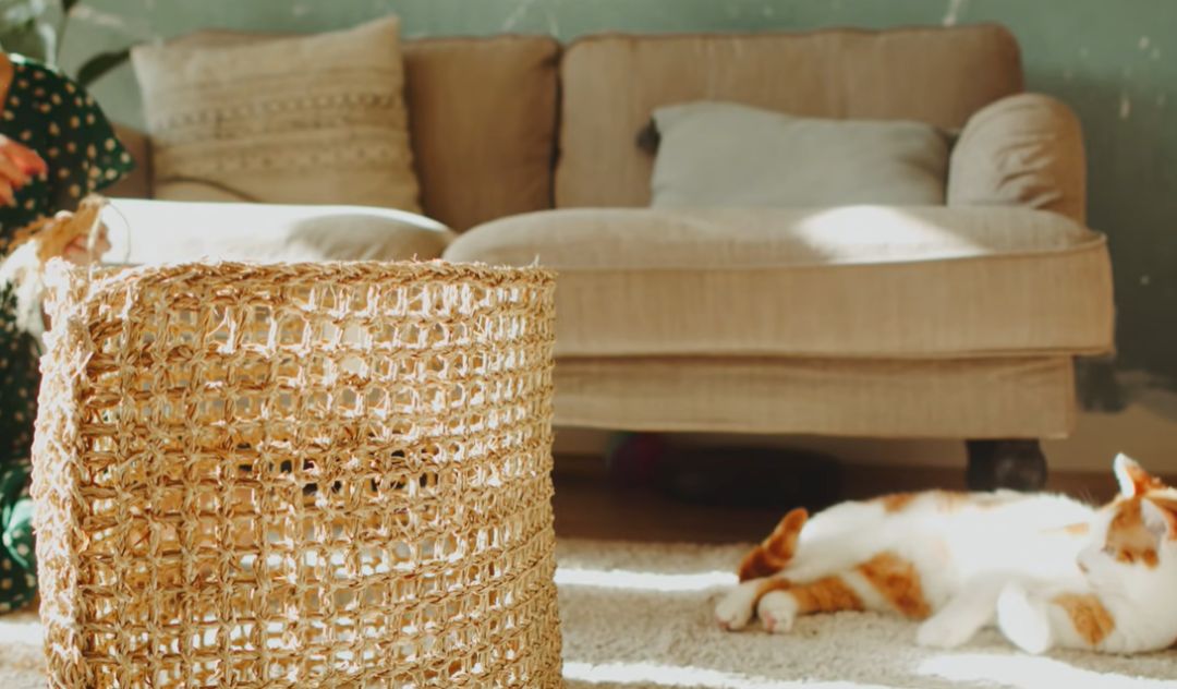 李子柒靠海外视频月入80万,德国版李子柒