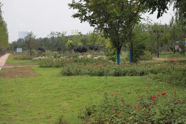 郑州野生动物园和周口野生动物园,郑州即将开业的野生动物园