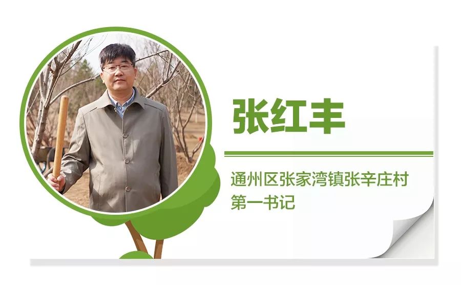 就是通州这5个人，和总书记一起植树了！听听他们都说了啥？