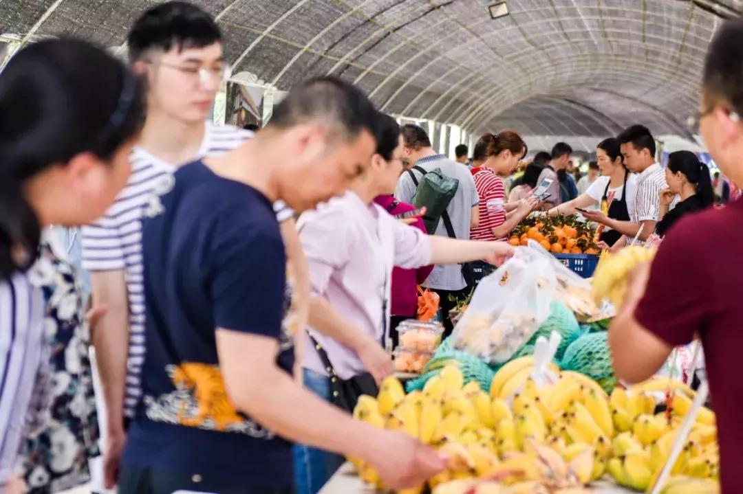 三个桃子19块钱,三个桃子1千克15个桃子重多少千克