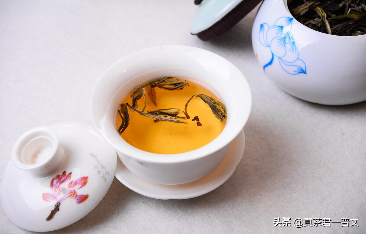 为啥云南人不喝普洱茶,云南人为什么不喝茉莉花茶