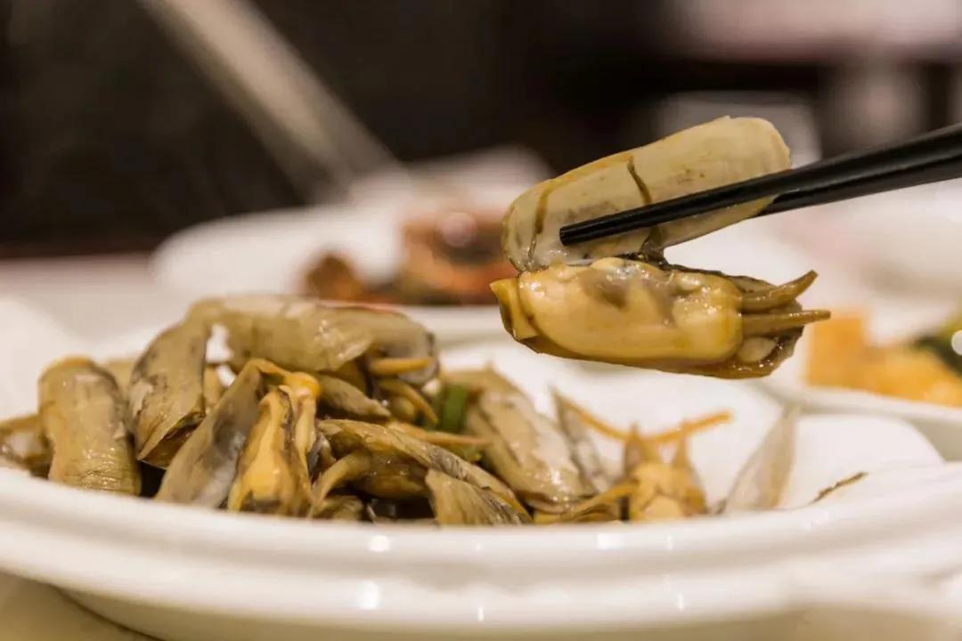 宁波蓝色海岛旅游攻略图,海定则波宁行稳则致远完整版