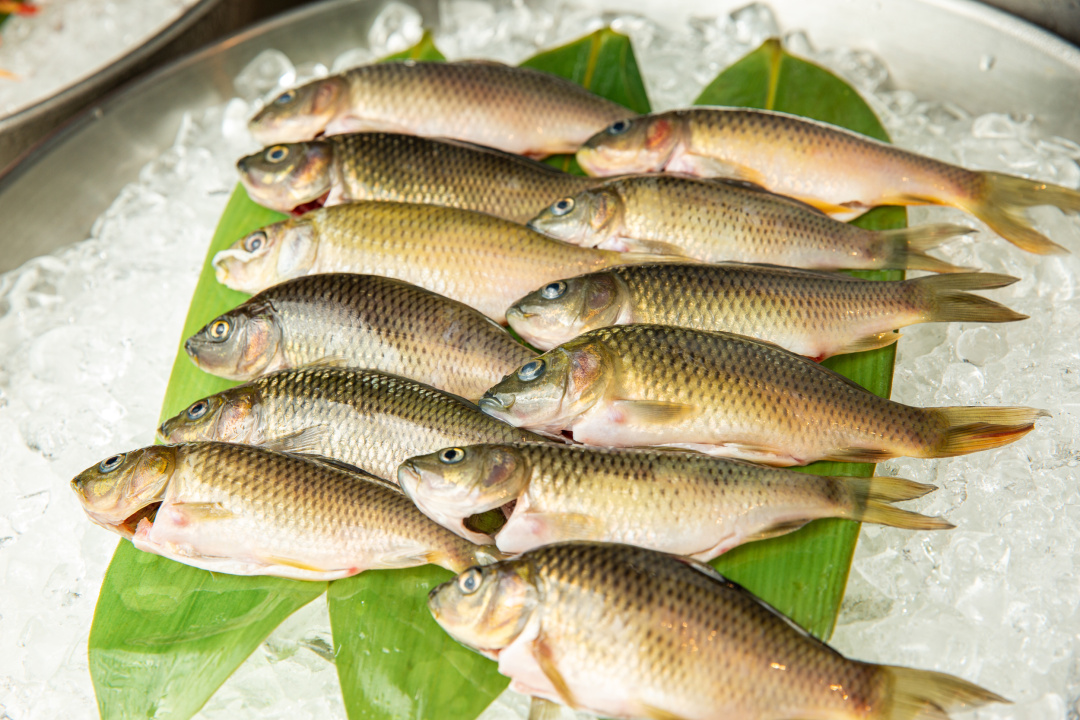 打卡佛山帆船度假酒店,佛山最顶级酒店打卡