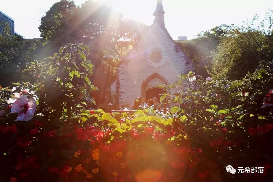 芝加哥及周边的好去处,芝加哥周边游玩