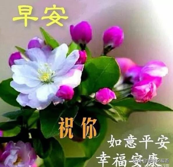 清晨最美的早上好问候祝福语图片,温馨暖心的早晨好祝福语图片