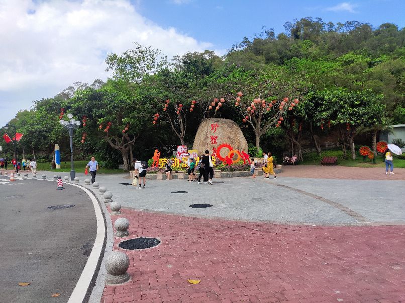 珠海野狸岛到港珠澳,珠海野狸岛的山可以爬吗