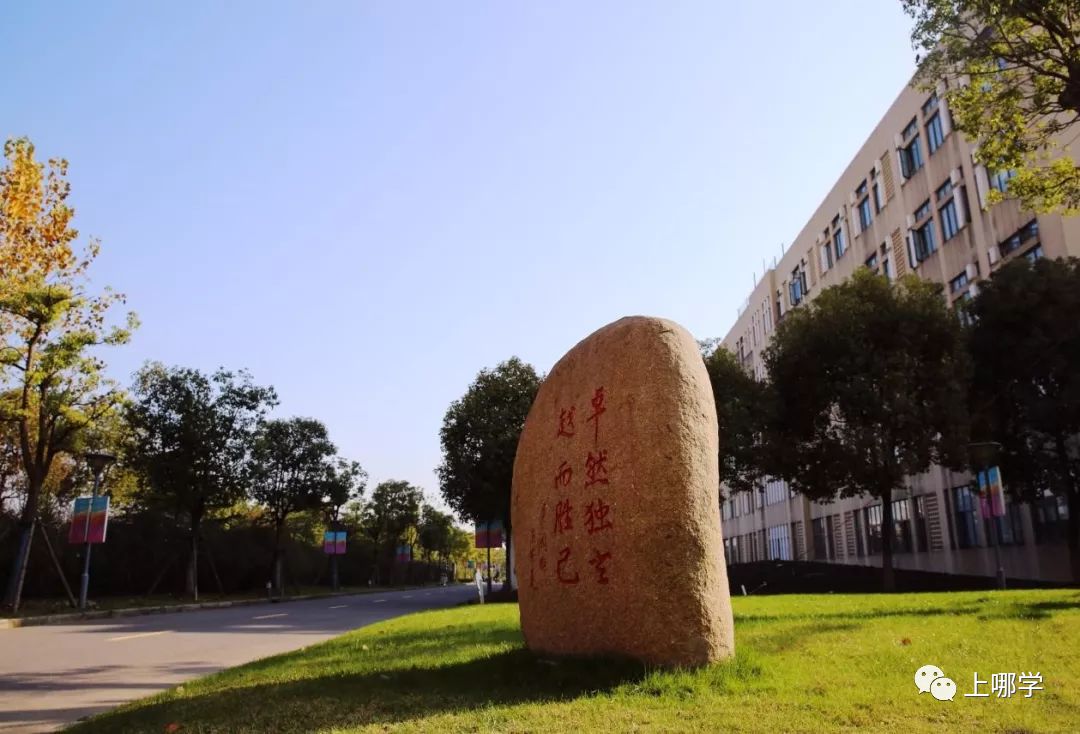 上海最好的十大民办初中,上海各区的顶级初中和一流初中