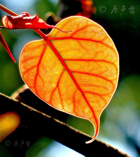 北大研究生的一生经历,北大研究生出家当和尚