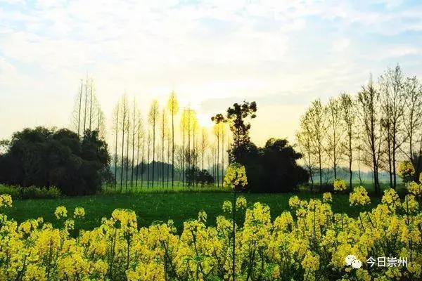 成都的天府公园,四川天府新区的公园城市