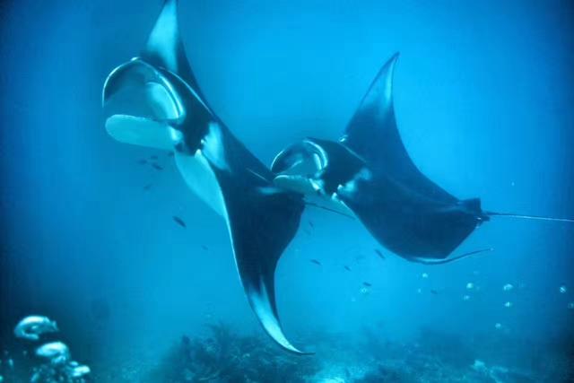 6000可以旅游的地方,6000元能去哪儿玩