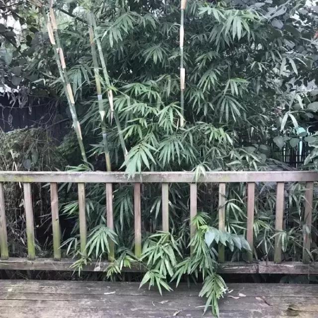 90后小伙花100万造房子,90后小伙花几千元装修500个平方