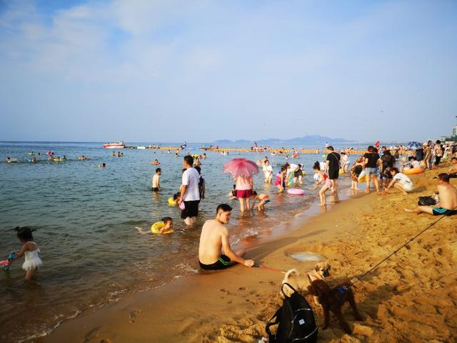 烟台真的好吗,烟台真的是一个适合宜居的城市