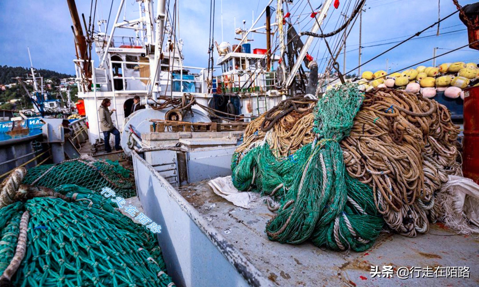 海参崴的渔业资源：挨枪子也要非法捕捞，一次利润数万元