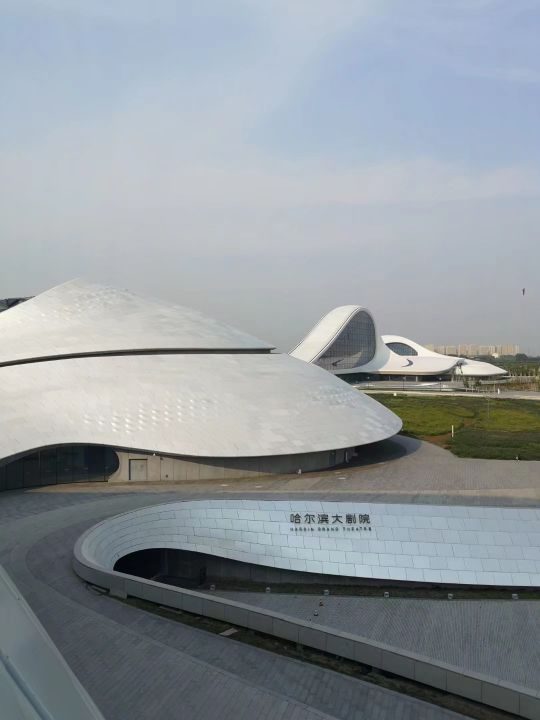 哈尔滨海拉尔呼伦贝尔旅游游记,哈尔滨漠河满洲里旅游攻略