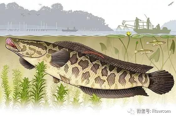 山东省峡山水库简介,山东省第一大水库峡山水库