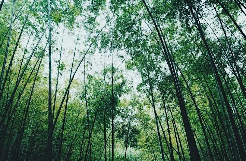 亲测旅游攻略,旅游团游西湖攻略线路地图