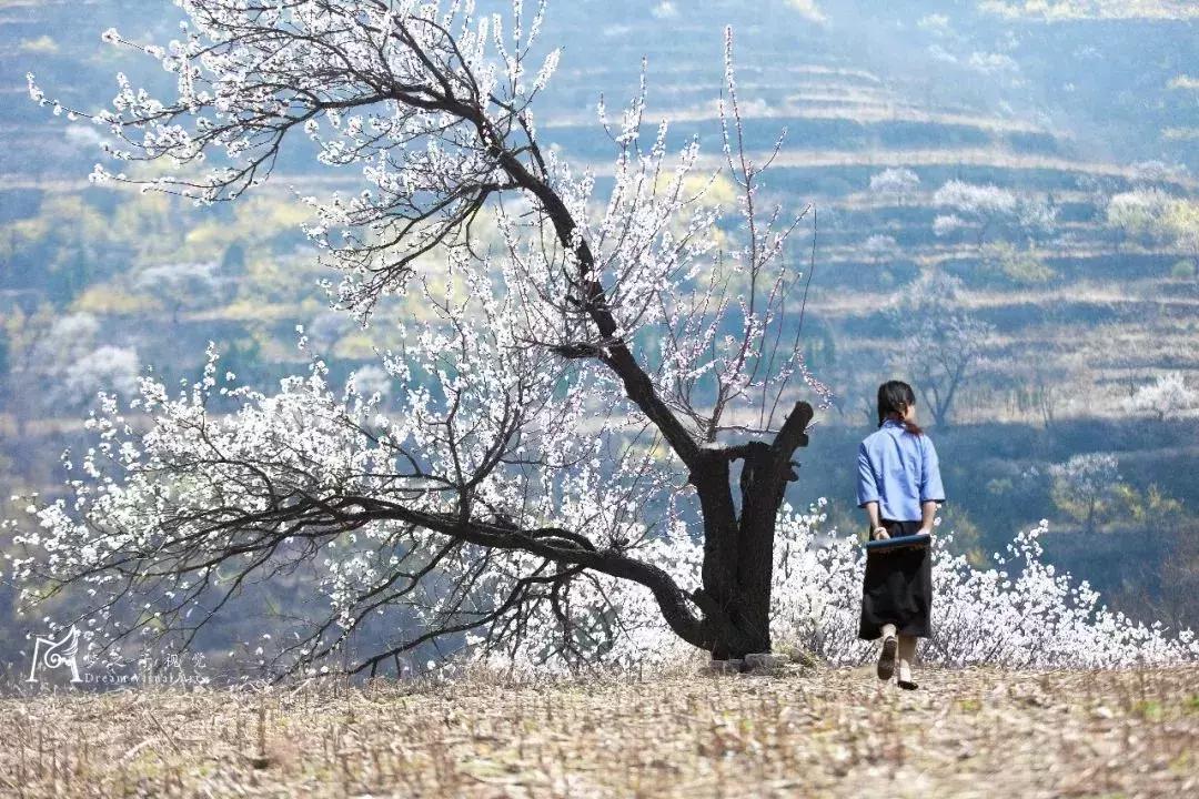 重磅：潍坊五一假期超丰富文旅大餐来袭！