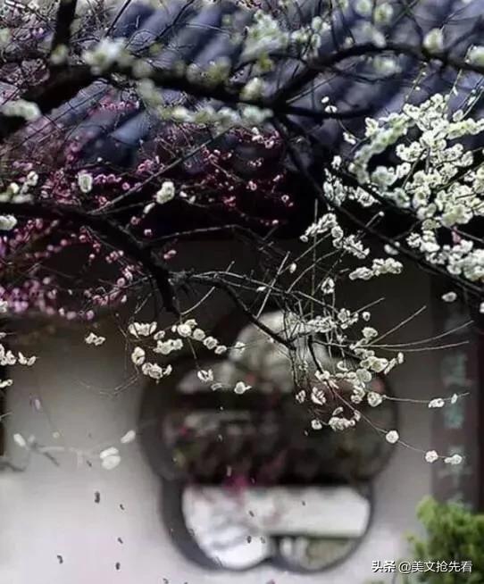 一切都看淡一切都随缘,随缘看淡释然