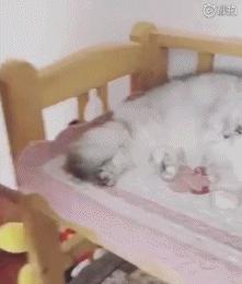 舒淇罕见晒与老公冯德伦合照,舒淇深夜晒照为冯德伦庆祝生日