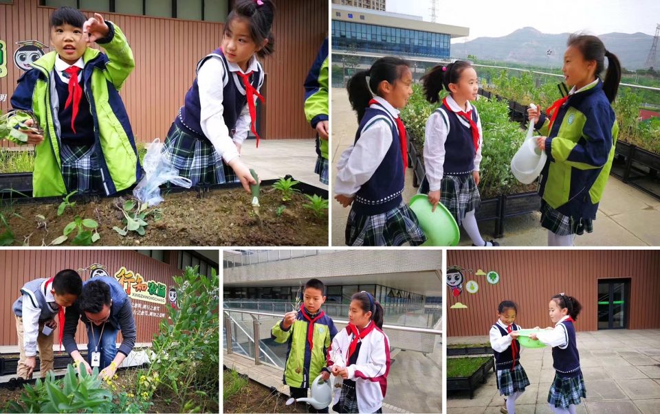 2.5亿建设学校,只为孩子快乐成长--苏州科技城实验小学