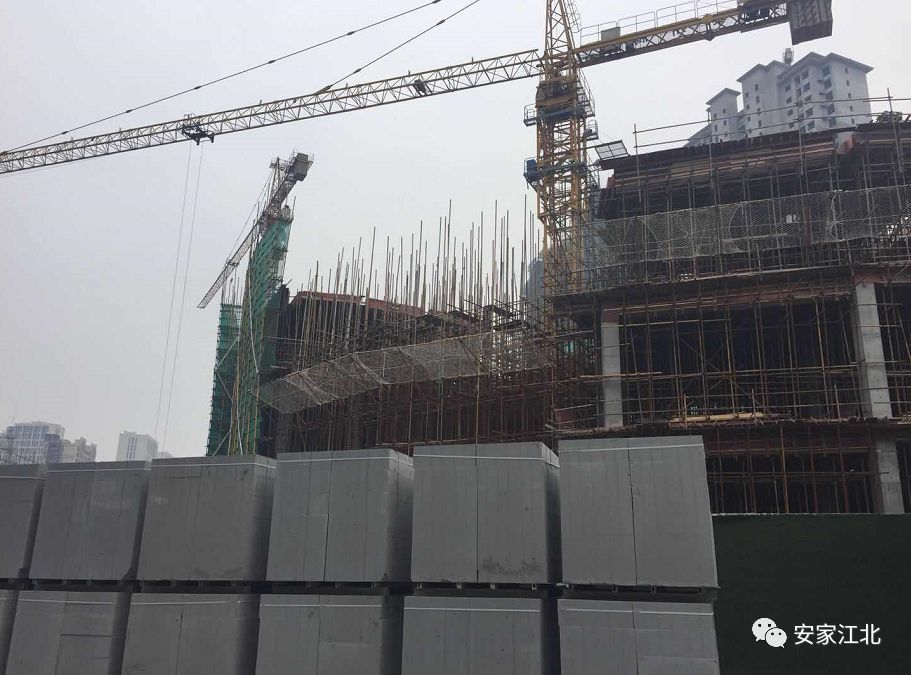 北京东路小学开发区分校,北京东路小学分校紫金分校怎么样