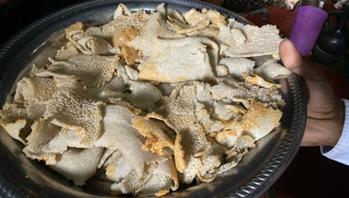 谢谢你们,我的生活很好,学习很棒