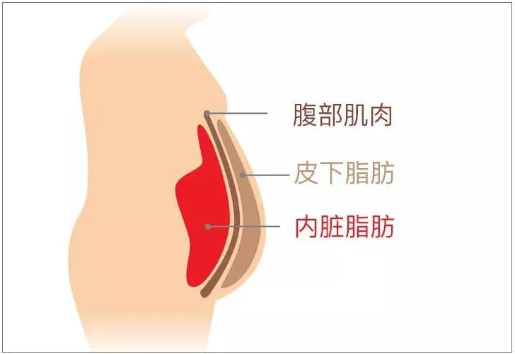 癌症风险预测评估,癌症风险系数排名