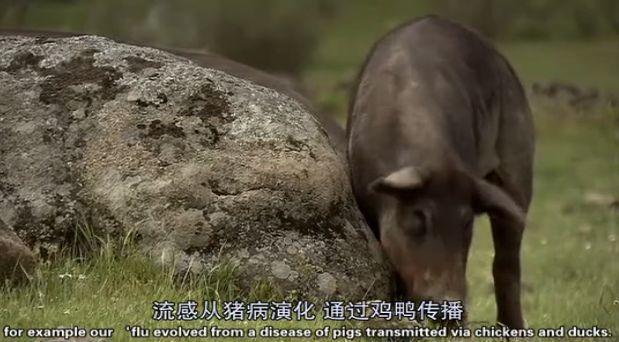 这次疫情让世界明白中国的重要性,到今天疫情怎么样了