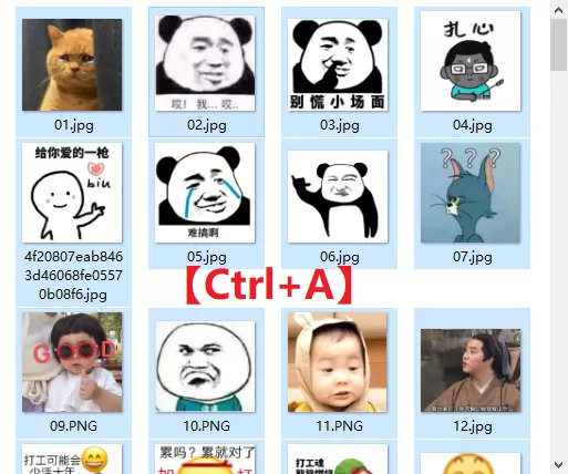 怎样可以快速给很多文件重命名,文件怎么快速重命名